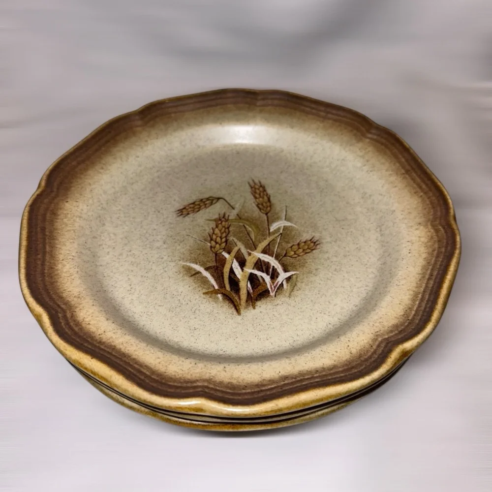 Set of 3 MIKASA Whole Wheat Granola Salad Plates – Vintage Stoneware Retro 70’s